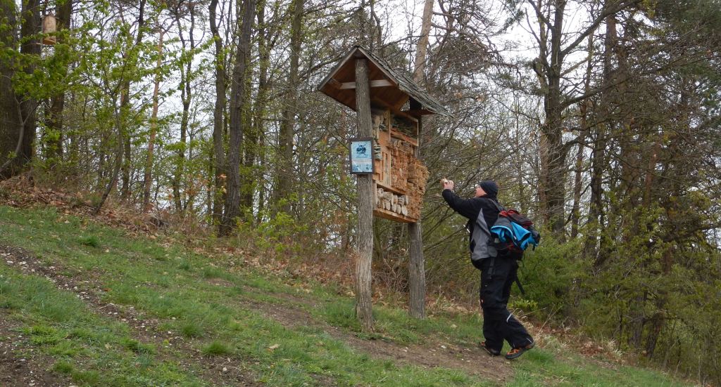 Robert Křelina zachraňuje hmyzí domečky při výstupu na Milířský kopec
